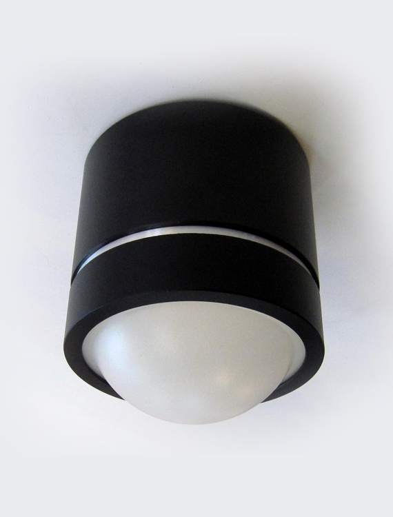 Ceiling Light 1